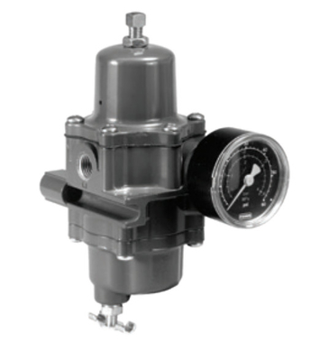 pneumatisches Regelventil mit 67CFR-Filterregler und Fish-er DVC2000-Ventilstellungsregler