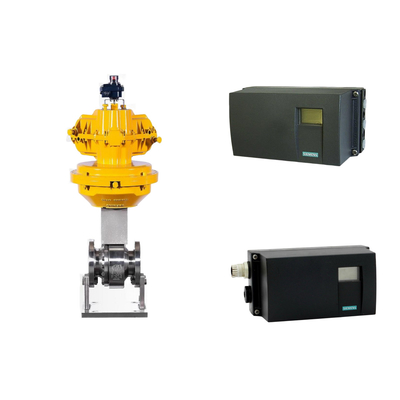 Digitale Positionierer und Modellnummer für Ventilpositionsregler