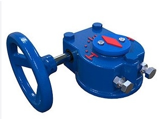 ROTORK IQ Elektroantrieb und IW IB Getriebe mit chinesischem Steuerventil