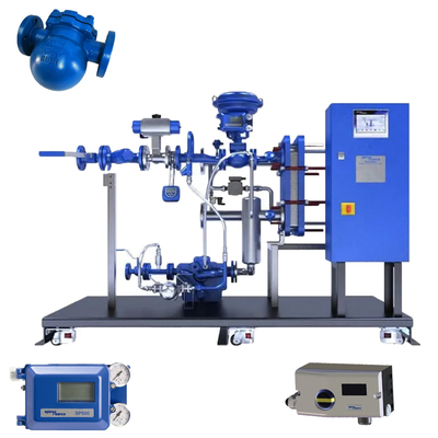 SPIRAX SARCO FT43 Gusseisenkugel DN25 bis DN50 für die Installation von Abflussventilen