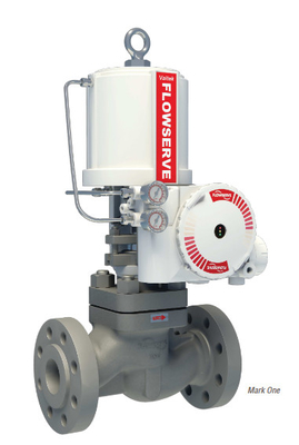 Drucksenkende und Überhitzungsstation mit Flowserve Valtek VR-Aktor und 3200MD-Ventilpositionierer