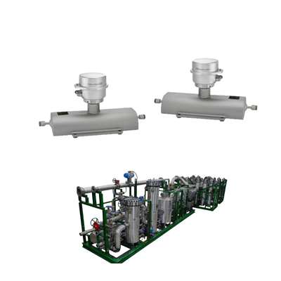 Brennstoffgas-Ski-Scheiben mit hochgenauer Prolin-Promass A 100 Coriolis Endress + Hauser-Durchflussmesser