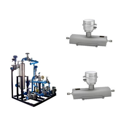 Brennstoffgas-Ski-Scheiben mit hochgenauer Prolin-Promass A 100 Coriolis Endress + Hauser-Durchflussmesser