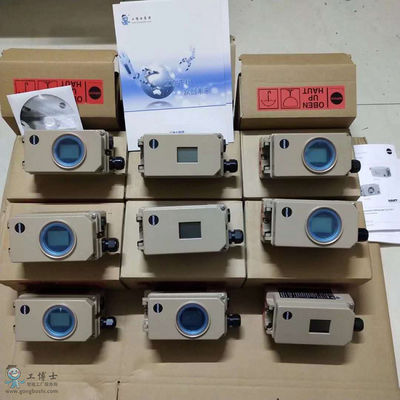 Samson Pneumatic Smart Positioner 3730-31001 mit Drosselventil-und Asco-Magnetventil