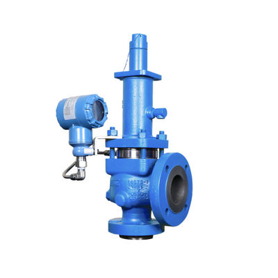 Vollhebel-Flanken-Sicherheitsventile Pilot Spiraxsarco SV607 Verwendung auf Dampf, inertem Industriegas und Wasser