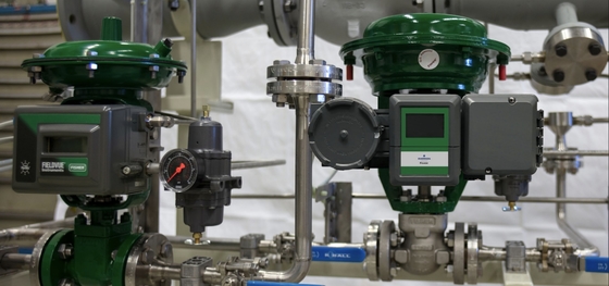 Fisher FIELDVUE DPC2K Digitale Prozesssteuerung Erweiterte digitale PID-Steuerung