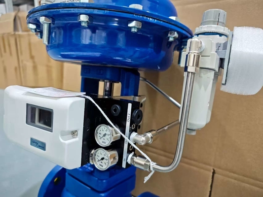 Spirax Sarco KE73 Regelventilgehäuse DN15-100 Flansch BSP ANSI DIN Standards ISO9000
