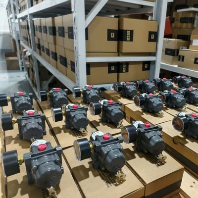 Fisher DVC6200 Digitaler Ventilpositionierer mit HART-Kommunikation