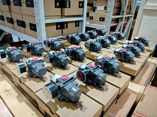 Fisher 67CFR Filterdruckregler Druckminderventil 450 psig