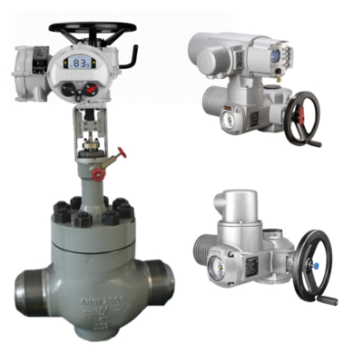 ROTORK Elektrischer Ventilantrieb IQ10 IQ20 IQ35 IQ40 IQ70 IQ90 IQ95 IQ12 IQ25 IQ18 in Verbindung mit chinesischem Kugelhahn zur Verwendung in der Wasseraufbereitung