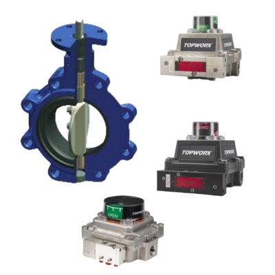 TopWorx TXP-M21GNMM NAMUR Schacht Flammensicherung Ventil Positionierer