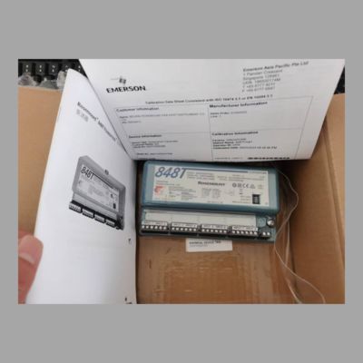 Rosemount 848T Temperaturtransmitter mit 214 RTD-Sensor -196 bis 425 °C