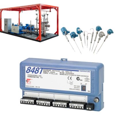 Rosemount 848T Temperaturtransmitter mit 214 RTD-Sensor -196 bis 425 °C