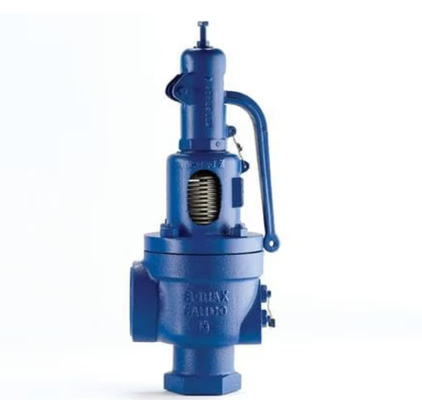 Die ultimative Lösung Gasöfen Sicherheitsventile Spiraxsarco SV607DS und Burkert Solenoid