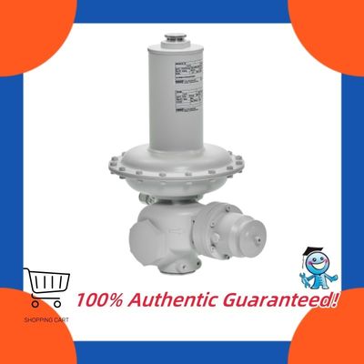 Itron RB1700 RB1800 Series Industrial Regulator LPG First Stage Pressure Regulation Pressure Regulator Valve