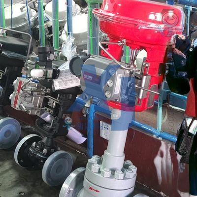 Pneumatische Durchflussventile EAC-zertifizierte Regelventile und Emerson Fisher DVC6200 digitale Ventilregler