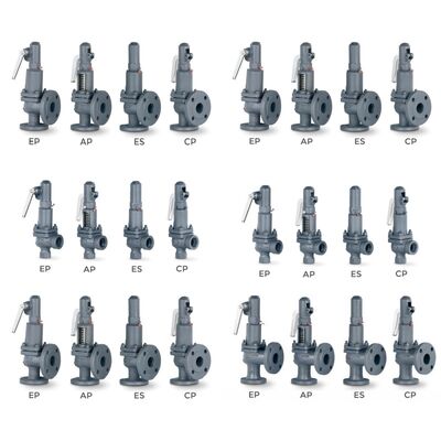 VYC Industrial Valve AIT 485 486 494 495 496 596 696 Druckentlastungsventil Vollhub-Sicherheitsventil mit Schraubenfeder