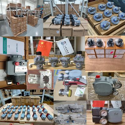 Chinesisches pneumatisches Regelventil mit SVI1000G SVI1000 PR G IM Masoneilan Stellungsregler SVY und Asco Regler für Flüssiggas