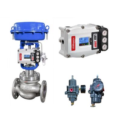 Flowserve Logix 3800 Digitaler Ventilregler Smart Control mit Fisher 67CFR Filterregler