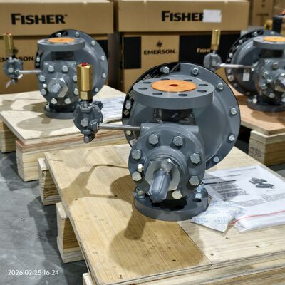 Druckreduzierender Regler NPT Aluminium-DN 50 Reihe FISCHER 299H