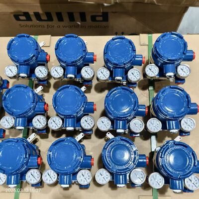 Steuerventil mit Pneumatik-Aktor und AVP100 AVP102 Pneumatik-Smart Valve Positioner