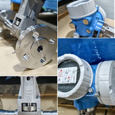 Industrie-Dampfgas-Flüssigmassen-Durchflussmesser Endress Hauser Proline Prowirl F 200 E+H Wirbel-Durchflussmesser