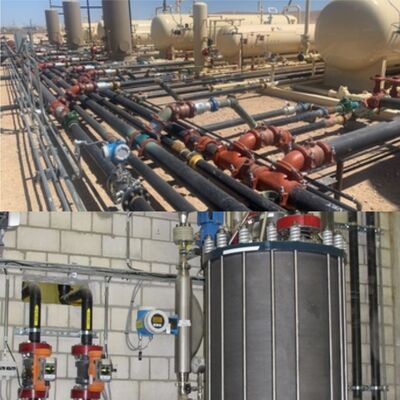 Industrie-Dampfgas-Flüssigmassen-Durchflussmesser Endress Hauser Proline Prowirl F 200 E+H Wirbel-Durchflussmesser
