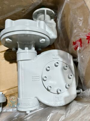 Fabrik-OEM-Elektrostecker-Kugelabsperrklappe Rotork IQT Vierteldrehungs-Elektroantrieb IW5 Schwenkgetriebe