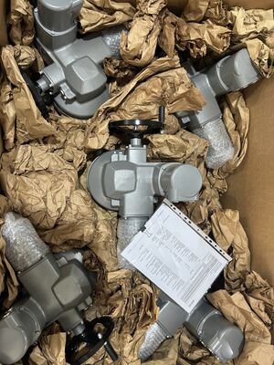 Hochleistungs-Industrie-Auma-Elektroantriebe SQ10.2-F10 SQ12.2-F12 Universeller Ersatz