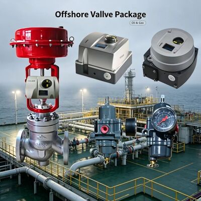 Valmet Me-sto Neles ND9000 Steuerventil Positionierer mit Fi-sher 67CFR Filterdrucksenkende Ventil