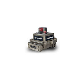 Getrenntes Ventilsteuergerät TopWorx DXS