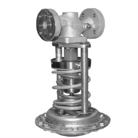DN 15 - Druckablassventil-Druck-Sicherheitsventil LÄRM Version DN 100