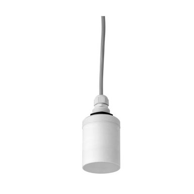 e+h-Instrumentultraschall-Sensor für Niveau und Flowmessung als Ultraschall-Sensor FDU91