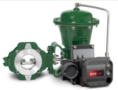 Einfaches e EZ Regelventil Fisher in der Chemikalie oder in Kohlenwasserstoff, die Anwendungen verarbeiten und Material im Kohlenstoffstahl, Stainles