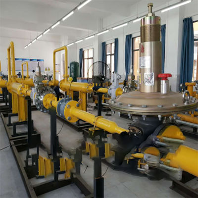 Chinesische integrierte Ausrüstungs-Duplexflüssigbrennstoff-Förderpumpe-Gleiter kombiniert mit FISCHER DVC 6200 Prüfer