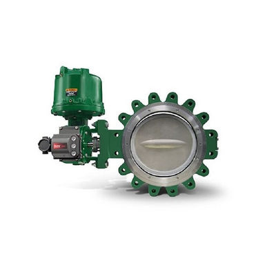 Fisher 3620J mit Schwenkeinheits-einfachwirkendem elektropneumatischem Stellwerk
