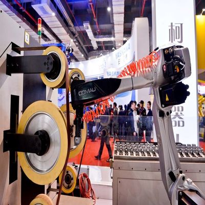 Polsterroboter Racer-7-1.0 Nutzlast 7 kg mit 6 Achsen Roboterarm für Handling-Automatisierung