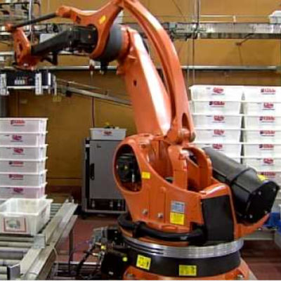 Achsen-industrieller Roboterarm-Verpackungs-Roboter PAs 5 Roboter Palletizer-Preis Kr-120