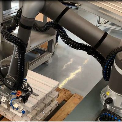 Kooperative Roboterachse des arm-OMRON TM12M Robot Arm 6 als Cobot-Roboter