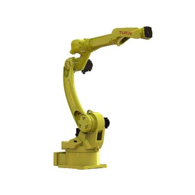 Roboterachse des Auswahl-und Platz-Roboter-TKB2030-6kg-2026mm des arm-6 als Industrieroboter