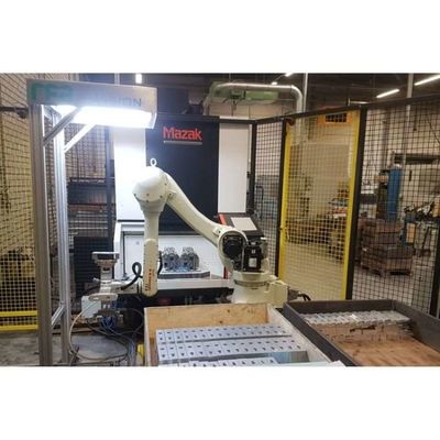 6 Achsen Roboterarm Palletizer RS020N für die Palletierung