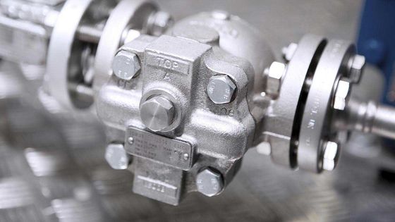 Geschraubter Ball-Floss-Dampfentlüfter FTGS14 Spirax Sarco