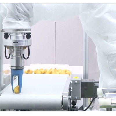 Kleiner Industrie-Roboterarm 6 Achsen VS-050/060 mit CNGBS-Robotergriff als Universalroboter