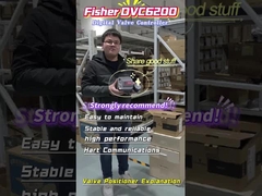 Fischers Ventilpositionierer DVC6200