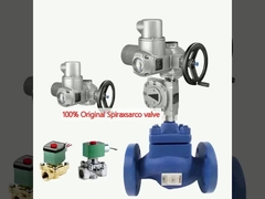 100% Original Spiraxsarco-Ventil