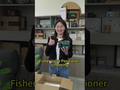 Was halten Sie von Fisher Ventil Positioner?