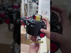 Lassen Sie die Grenzschalter von Power Genex es Ihnen sagen.