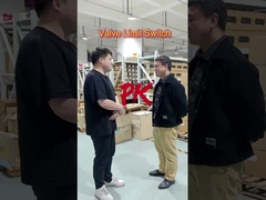 Welchen Grenzschalter bevorzugen Sie?