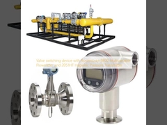 Ventilschalter mit Rosemount 8800 Multivariablem Durchflussmessgerät und 2051HT Hygienic Pressure Transmitter